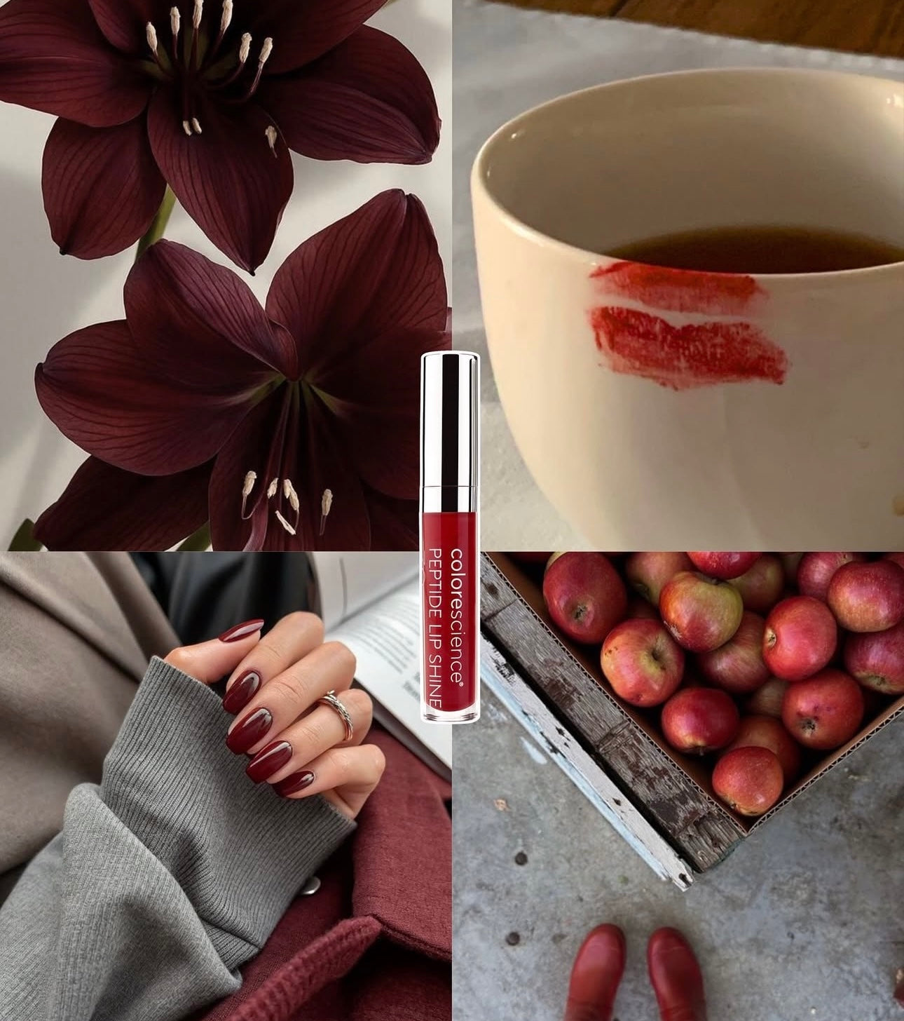 Peptide Lip Shine SPF30 ✨💋