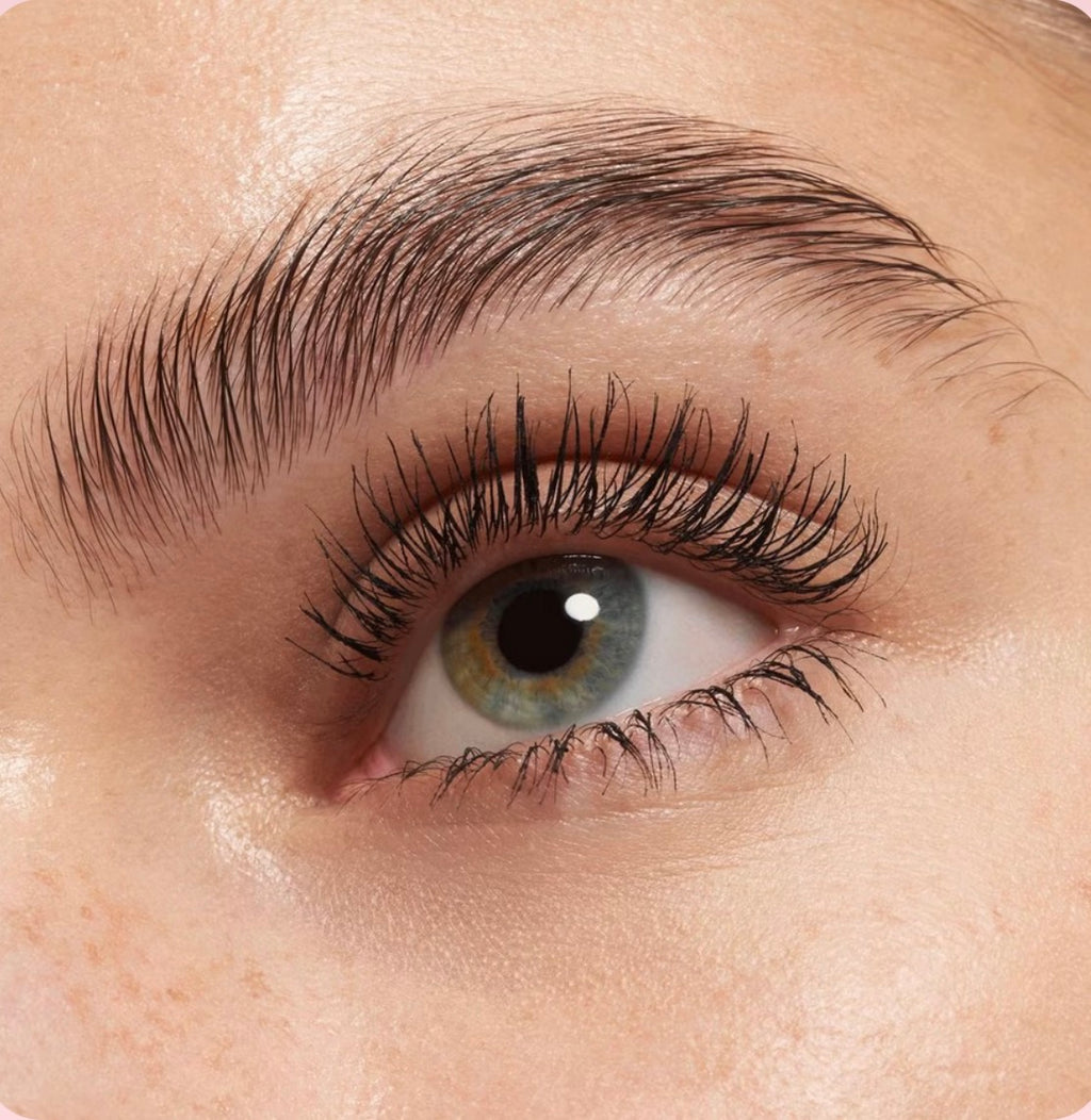 Lash Princess False Lash Effect Mascara